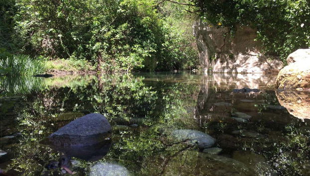 Contemplando il fiume Calcinara