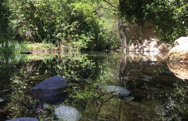 Tour in Ferla - Foto 1