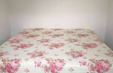 Kitnet espaçosa e bem localizada - Próximo ao lago e centro de eventos - Foto 24