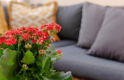 Piazza Venezia Suite and Terrace - Foto 14