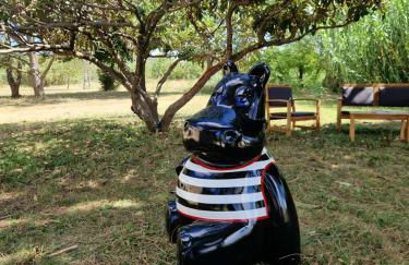 Mas de Rofa proche Pôle mécanique Alès - Foto 35