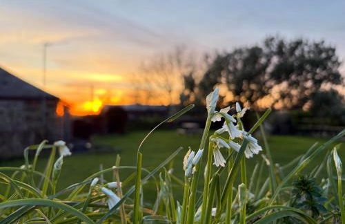 The Barn-family getaway - Nr Port Isaac - Photo 29