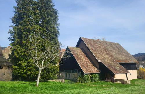 Le GITE Du MEIERHOF - Foto 7