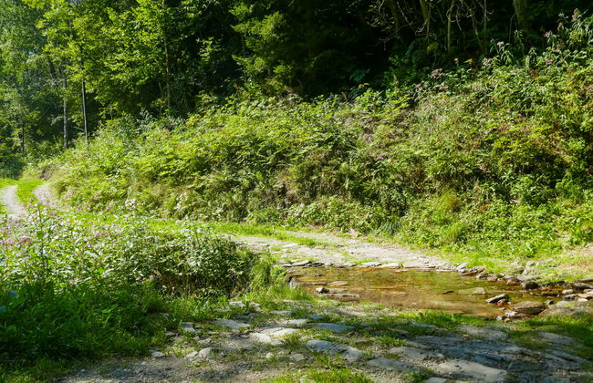 Rustico Girasole - Foto 29