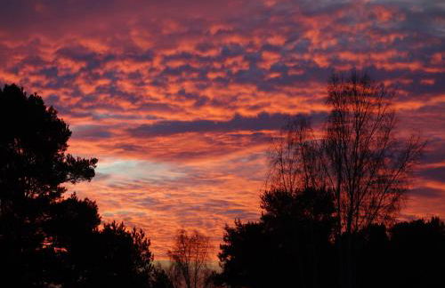 Alter Schulgarten - Foto 32