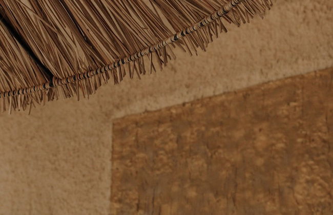 San Marcos Properties - Foto 36