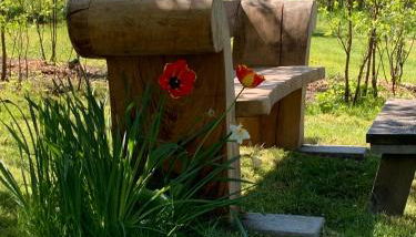 Das Sommerhaus - Foto 2