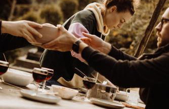 Szumilove Domki z saunami w Bieszczadach - Foto 19