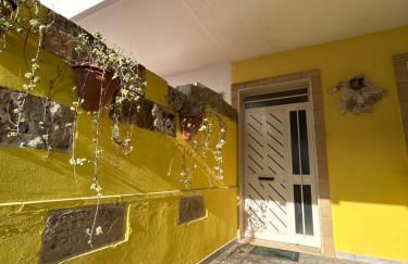 Zolla's House - Foto 4