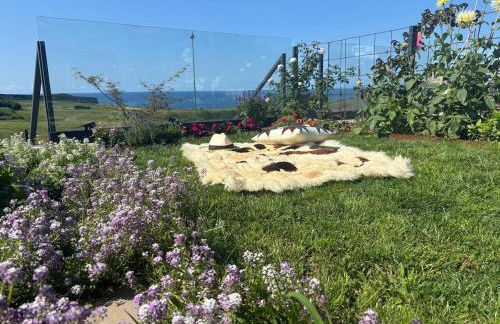 ballota 21 - Foto 39