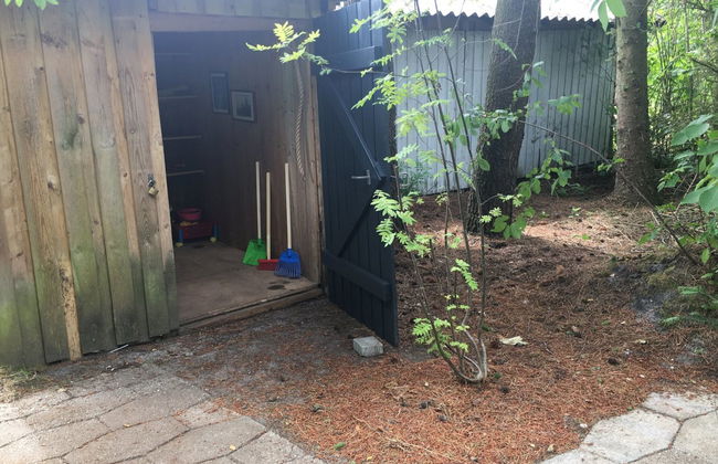 "Elevine" - 300m to the fjord - Foto 9