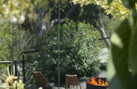 Paradise Ranch Inn- Limitless House Hot Tub,Sauna - Foto 38