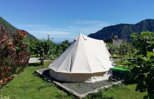 Granny's farm - Foto 63