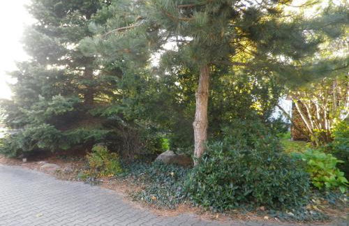 Hopfenkammer Schorfheide - Foto 6