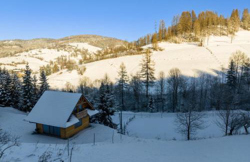 Domek w Górach - Foto 42