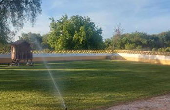 Montinho do Palanque - Foto 8