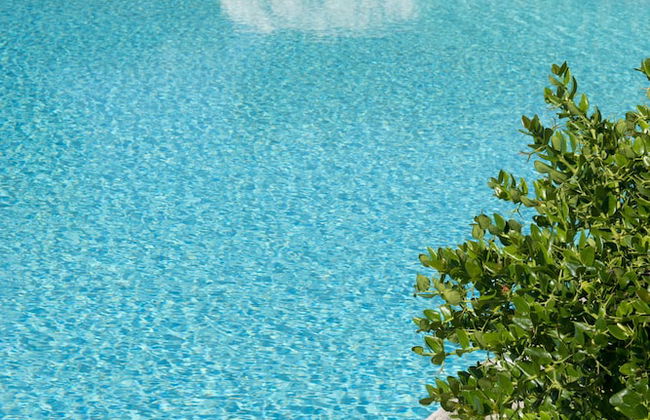 Masseria Don Luigi - Luxury Farmhouse - Foto 35