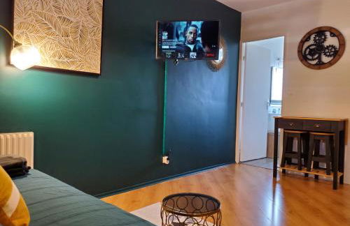 CHARMANT STUDIO☆NETFLIX☆CANAL+☆CANAL SAT☆PARKING☆ - Foto 9