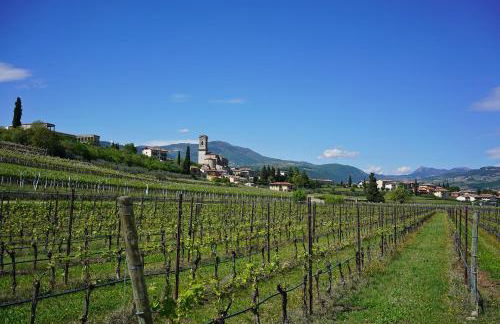 Domus Cariana - Foto 13