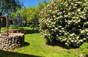 Kleiner Stern - Foto 7