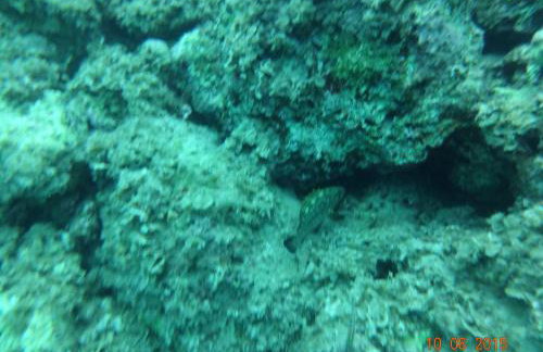 Mary's house - Photo 48