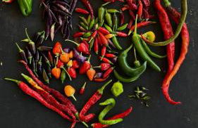 M Butterfly - Foto 36