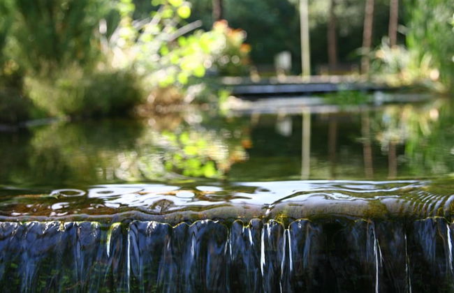 House on Water, Surrounded by Nature - Photo 7