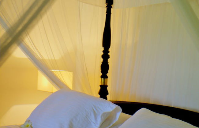 Galle Henna Estate - Foto 13