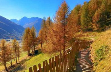 Appartamento Panoramic - Foto 31