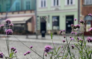 Apartament Rynek 17 - Foto 1