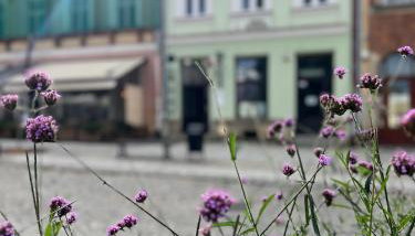 Apartament Rynek 17 - Foto 1