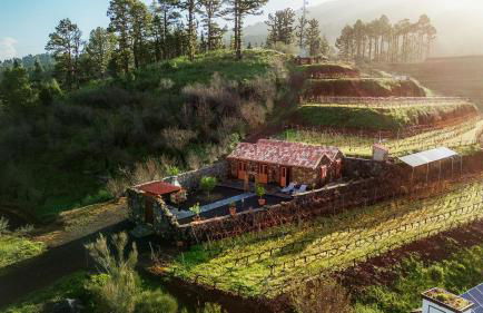 Finca Hortensia - Foto 8