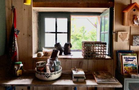 Une nuit en CABANE dans la Forêt - Photo 12