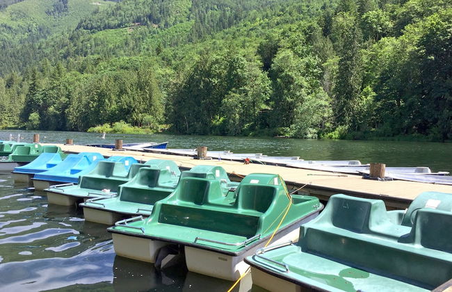 97MF - Lakeside - Dock - BBQ - Pets Ok - Sleeps 6 - Foto 17