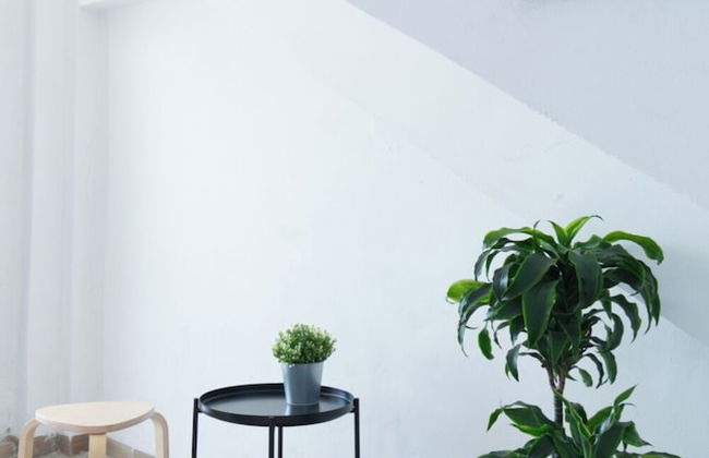 Le Stanze di Archimede - Foto 2