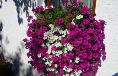 Ferienwohnung Sonja - Foto 9