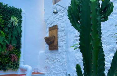 CASA MÚA - Photo 47