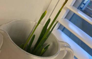 UNRIVALLED LOCATION - FIVE STAR - Worcester Apartment - Foto 31