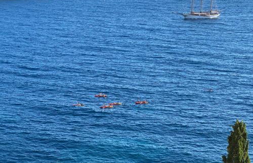 Pearl of Adriatic - Photo 55