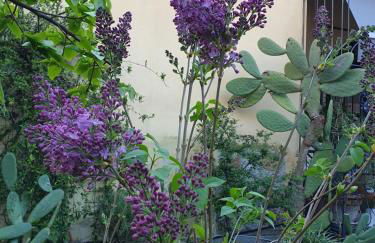 Creativ hause - Foto 19