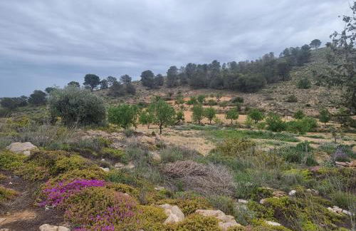 Cortijo de la montaña - Foto 19