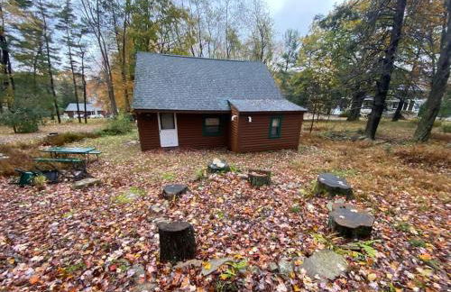 Cubs Den - Hot Tub- Walk to Lake- Fire Pit - Kayaks - Foto 34