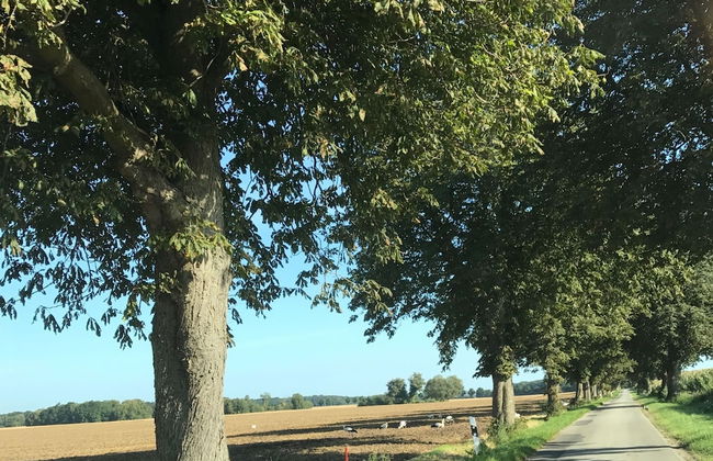 Geraeumige Ferienwohnung in Boddin mit Garten - Foto 17