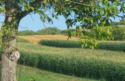 Kuća za odmor ,Erdelj 21 B - Foto 53