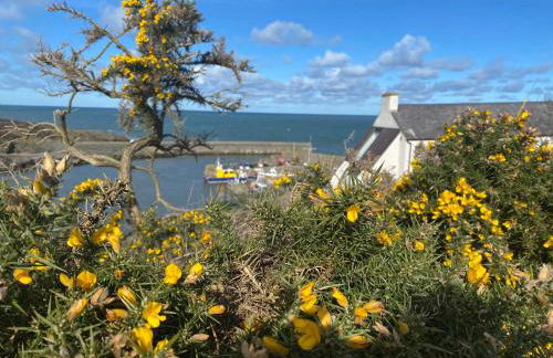 Converted chapel - Sant Pedr Newydd with sea views from garden - Photo 21