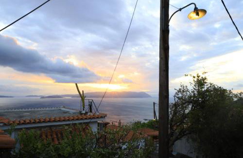 BLUE, Traditional House - Foto 57