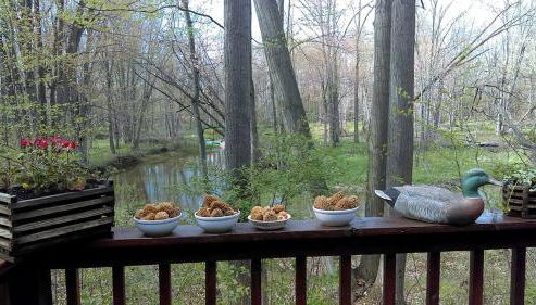 Cabin Surrounded by Sublime Nature near Lake Huron, Michigan - Foto 2