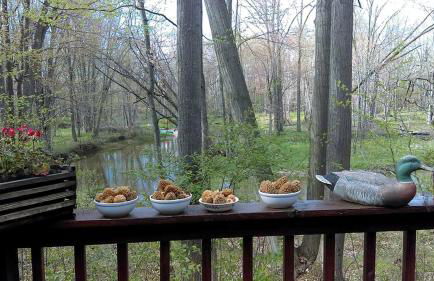 Cabin Surrounded by Sublime Nature near Lake Huron, Michigan - Foto 2