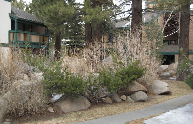 Sherwin Villas by Mammoth Res Bureau - Foto 43