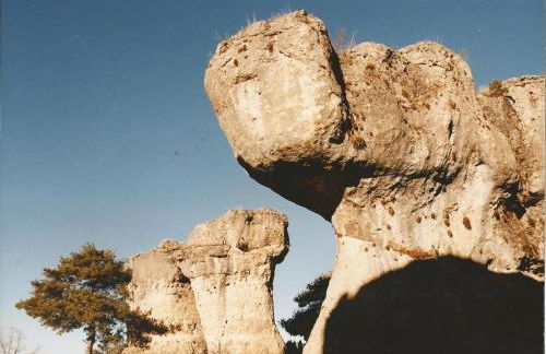 Alojamientos Turisticos La Utrera - Foto 19
